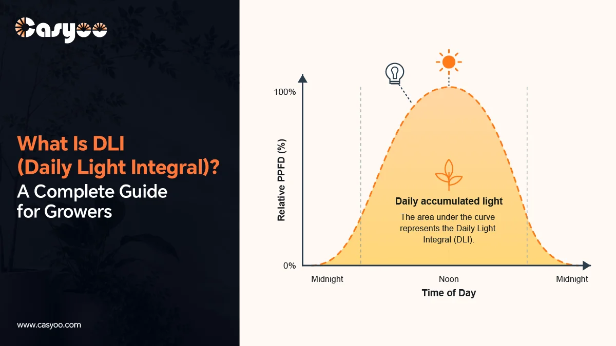 Daily light integral DLI chart showing accumulated plant light exposure throughout the day