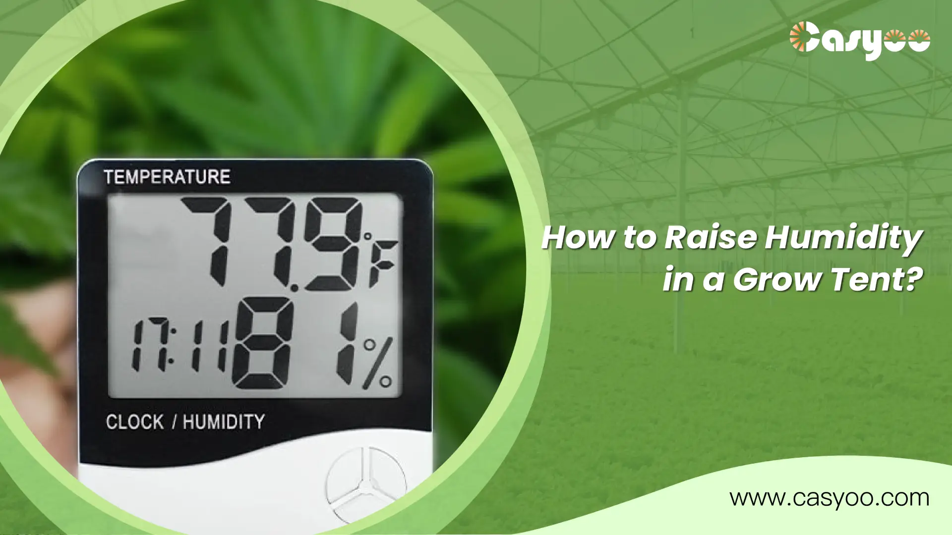 How to Raise Humidity in a Grow Tent