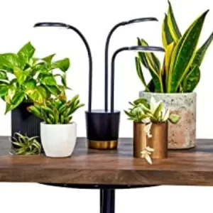 Lampe de culture AeroGarden