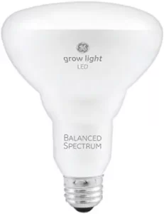 Lampe de culture GE