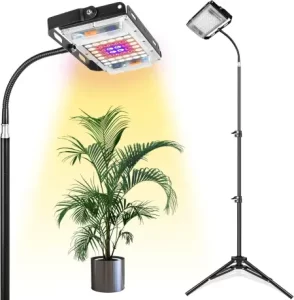 Lampe de croissance LBW