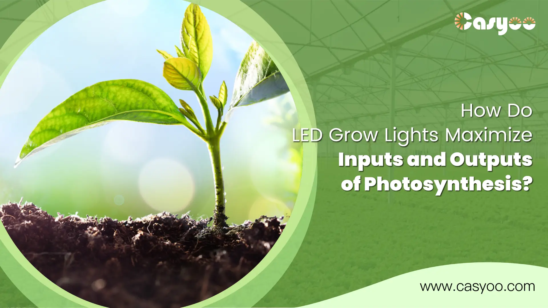 How Do LED Grow Lights Maximize Inputs and Outputs of Photosynthesis