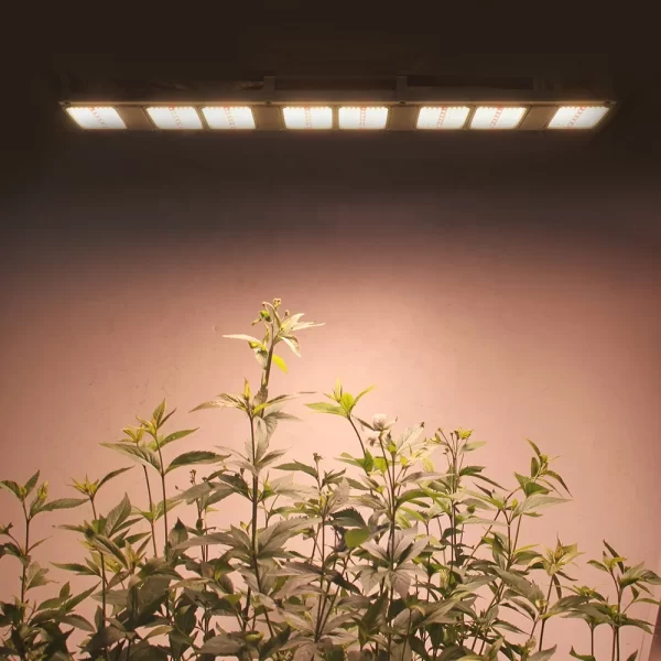 Casyoo 320W LED Grow Light Bar IP67 Full Spectrum Osram Samsung