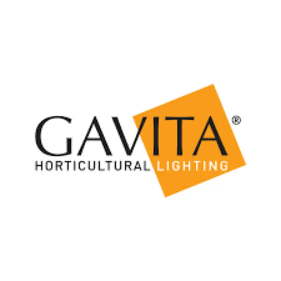 Gavita grow light