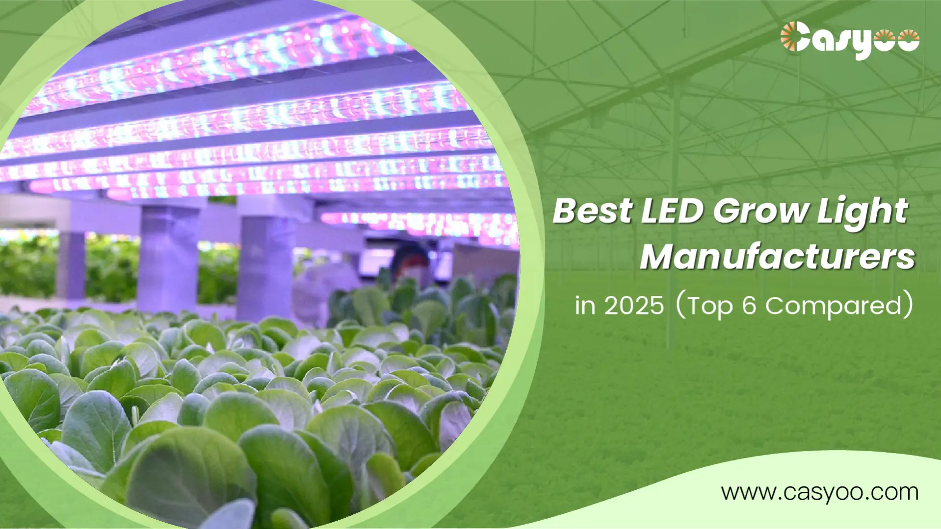 led grow lights manufacturer