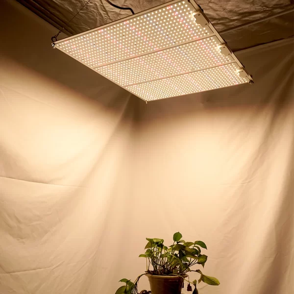 Casyoo QB1512 600W Quantum Board Grow Light Osram 660nm Full Spectrum