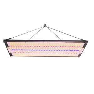 Casyoo QB001 60W quantum board light hanging bottom view with LED array.
