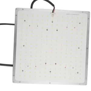 Casyoo QB002 100W quantum board LED grow light, front view of full-spectrum LED board.