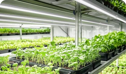 Grow light bars using in vertical farming systems