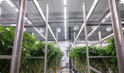 Grow light strips using in indoor grow racks