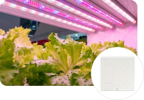 LED PCB used for grow lights in vertical farm