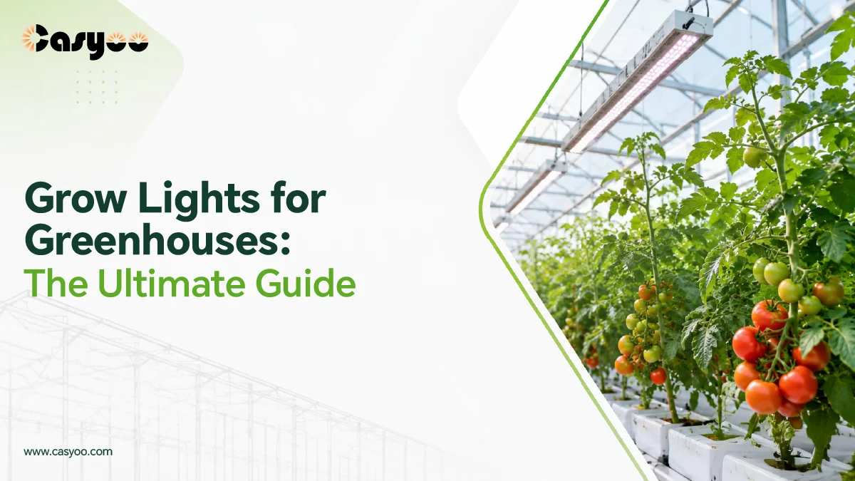 LED grow lights installed above tomato plants in a commercial greenhouse.