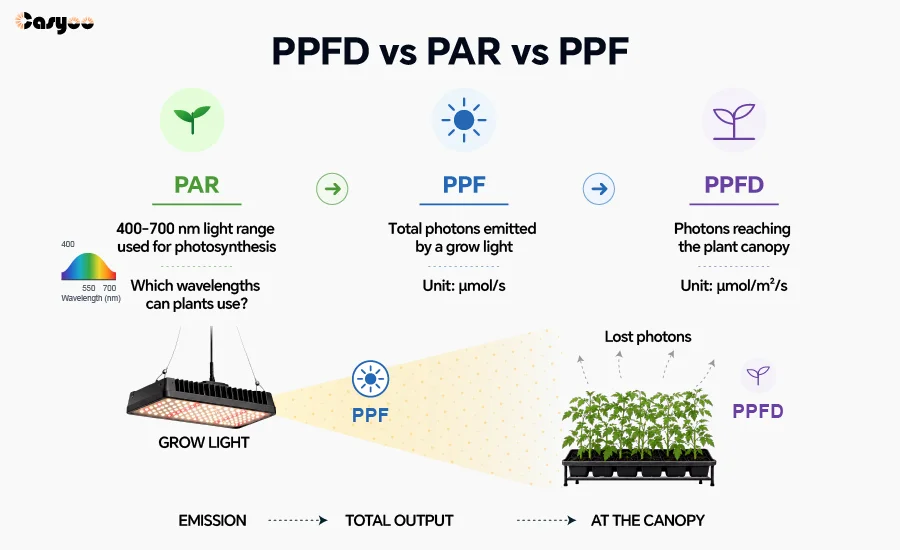 Vergleich von PPFD, PAR und PPF für LED-Pflanzenlampen