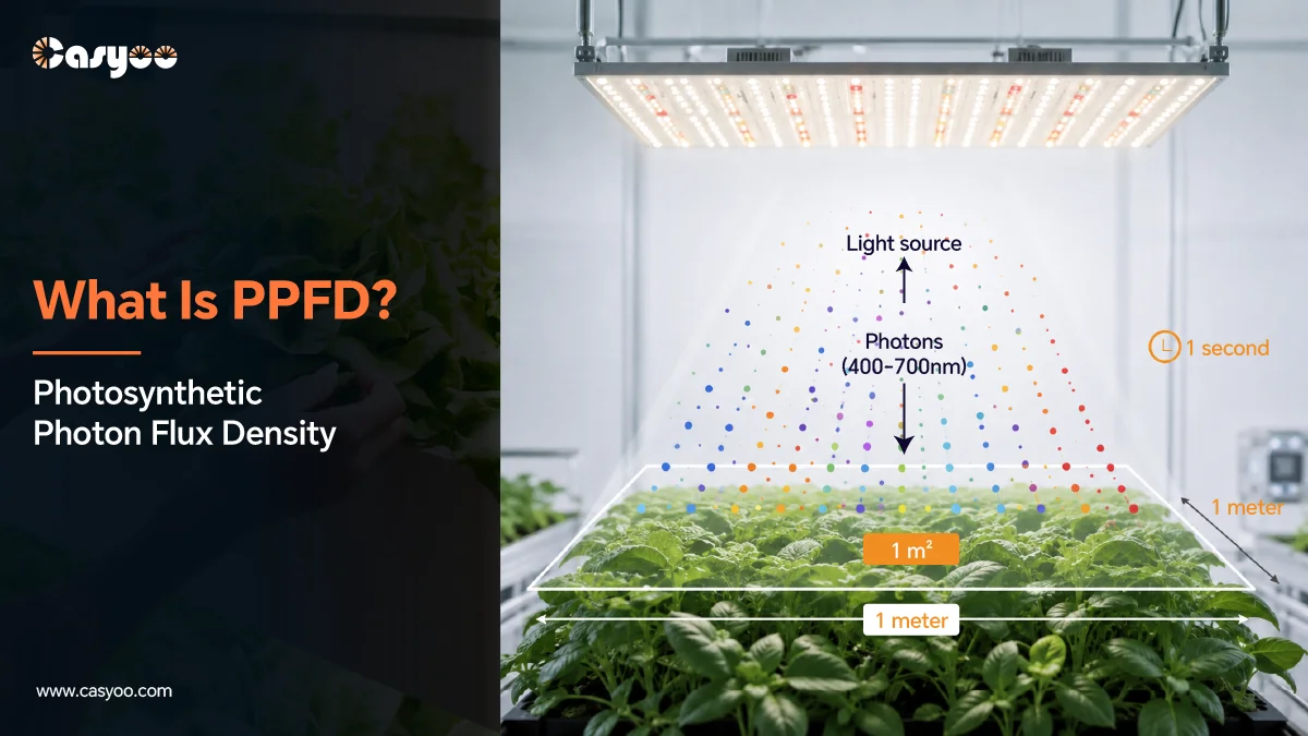 LED grow light showing PPFD photon measurement at plant canopy level